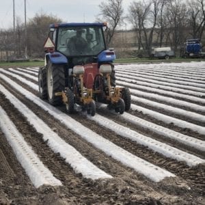 First Seeds In The Ground