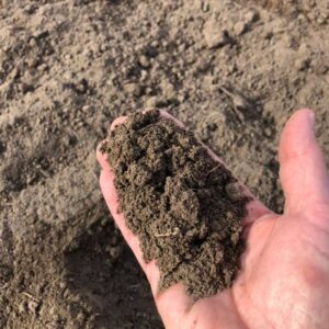 Fresh Soil