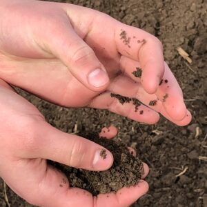 Garden Soil