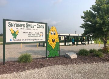 Snyder's Sweet Corn stand with sign.