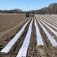 Plastic Laying Day!!