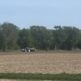 Planting the Bridge Flats